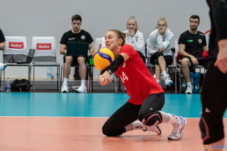 untitled-23_10_2022_amica_cup_volley_wrocław_dresdner-3073  Foto: lepszyPOZNAN.pl/Piotr Rychter