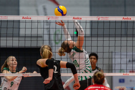 untitled-23_10_2022_amica_cup_volley_wrocław_dresdner-3007  Foto: lepszyPOZNAN.pl/Piotr Rychter