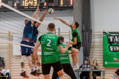 Tarnovia Volleyball - UKS Szamotulanin Szamotuły  Foto: lepszyPOZNAN.pl/Piotr Rychter