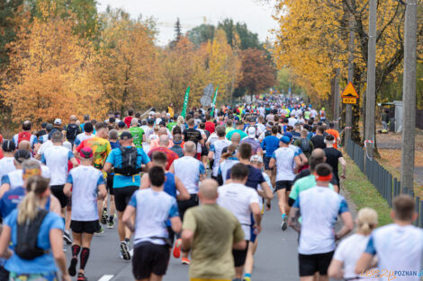 21. Poznań Maraton  Foto: lepszyPOZNAN.pl/Piotr Rychter