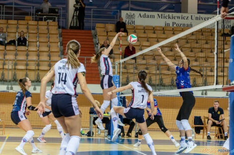 Enea Energetyk Poznań - LTS Legionovia Legionowo  Foto: lepszyPOZNAN.pl/Piotr Rychter