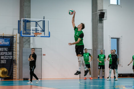 Tarnovia Volleyball - UKS Szamotulanin Szamotuły  Foto: lepszyPOZNAN.pl/Piotr Rychter