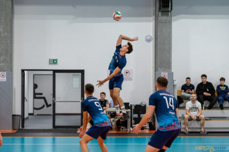 Tarnovia Volleyball - UKS Szamotulanin Szamotuły  Foto: lepszyPOZNAN.pl/Piotr Rychter