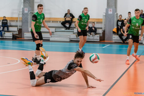 Tarnovia Volleyball - UKS Szamotulanin Szamotuły  Foto: lepszyPOZNAN.pl/Piotr Rychter