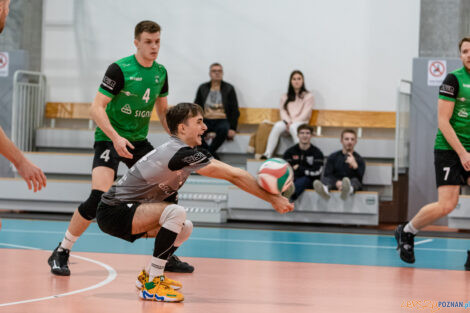 Tarnovia Volleyball - UKS Szamotulanin Szamotuły  Foto: lepszyPOZNAN.pl/Piotr Rychter