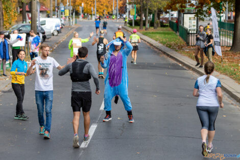 21. Poznań Maraton  Foto: lepszyPOZNAN.pl/Piotr Rychter