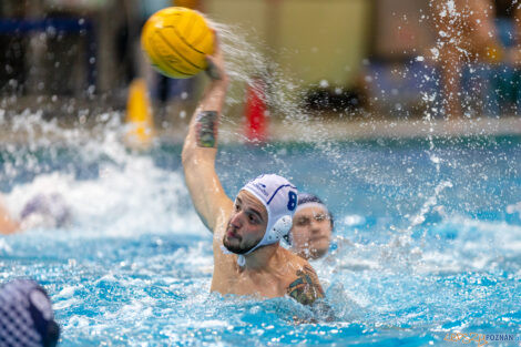 Waterpolo Poznań - Alfa Gorzów Wlkp.  Foto: lepszyPOZNAN.pl/Piotr Rychter