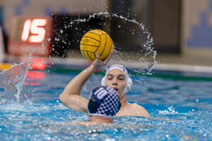 Waterpolo Poznań - Alfa Gorzów Wlkp.  Foto: lepszyPOZNAN.pl/Piotr Rychter