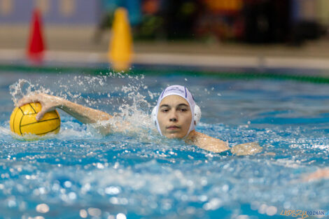 Waterpolo Poznań - Alfa Gorzów Wlkp.  Foto: lepszyPOZNAN.pl/Piotr Rychter