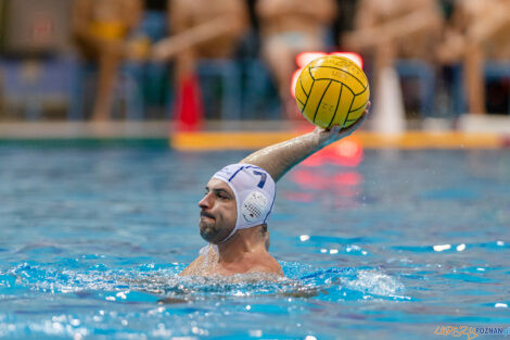 Waterpolo Poznań - Alfa Gorzów Wlkp.  Foto: lepszyPOZNAN.pl/Piotr Rychter