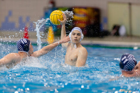 Waterpolo Poznań - Alfa Gorzów Wlkp.  Foto: lepszyPOZNAN.pl/Piotr Rychter