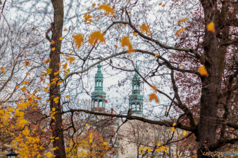 Dni Świętomarcińskie 2022  Foto: lepszyPOZNAN.pl/Ewelina Jaśkowiak