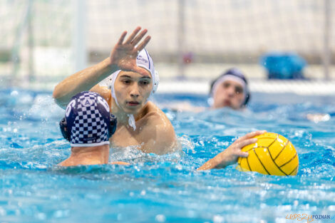 Waterpolo Poznań - Alfa Gorzów Wlkp.  Foto: lepszyPOZNAN.pl/Piotr Rychter