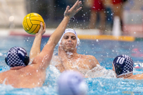 Waterpolo Poznań - Alfa Gorzów Wlkp.  Foto: lepszyPOZNAN.pl/Piotr Rychter