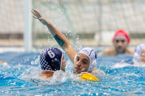 Waterpolo Poznań - Alfa Gorzów Wlkp.  Foto: lepszyPOZNAN.pl/Piotr Rychter