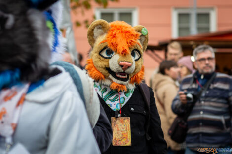 Dni Świętomarcińskie 2022  Foto: lepszyPOZNAN.pl/Ewelina Jaśkowiak