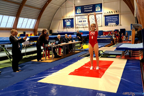 Puchar Polski Seniorów i Juniorów w skokach na trampolinie, ście  Foto: materiały prasowe