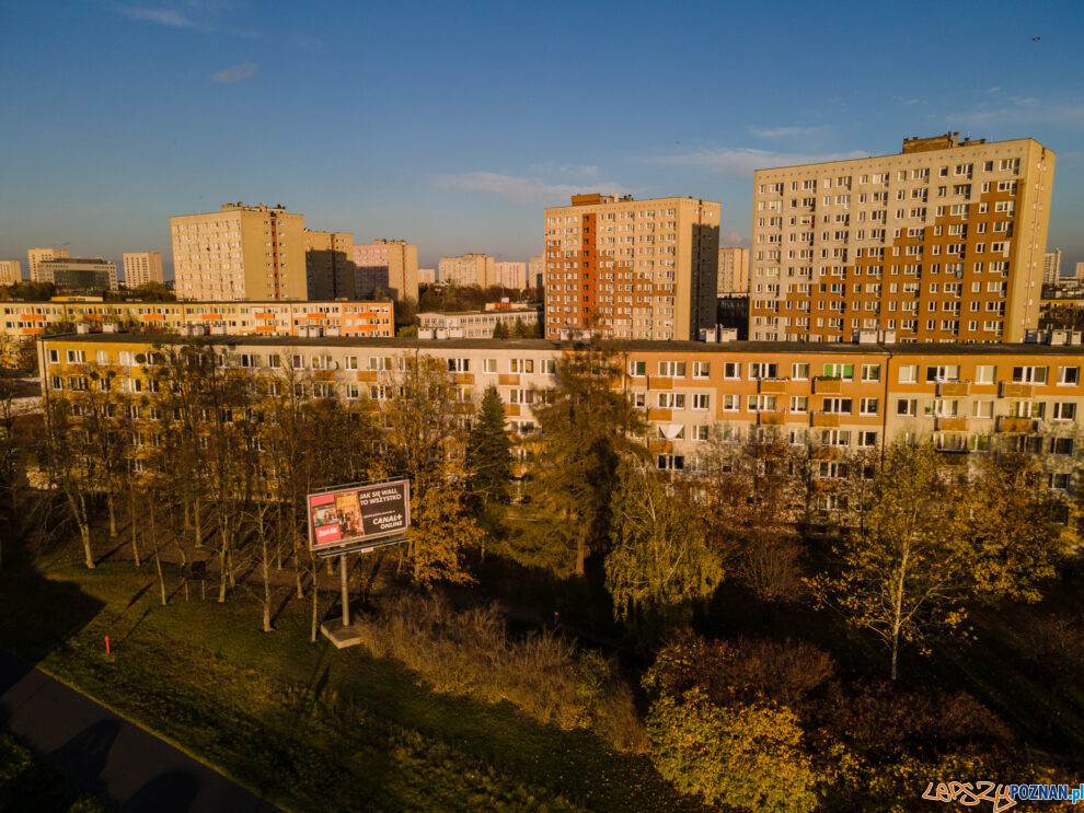 Winogrady, blok, osiedle Przyjaźni  Foto: lepszyPOZNAN.pl / Piotr Rychter