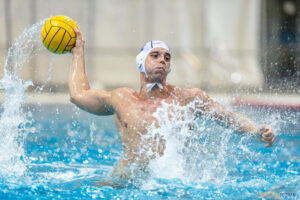 Waterpolo Poznań - Alfa Gorzów Wlkp.  Foto: lepszyPOZNAN.pl/Piotr Rychter