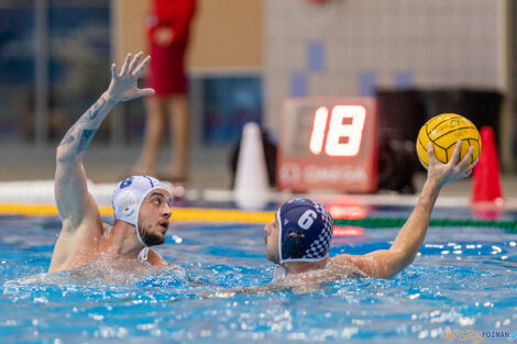 Waterpolo Poznań - Alfa Gorzów Wlkp.  Foto: lepszyPOZNAN.pl/Piotr Rychter