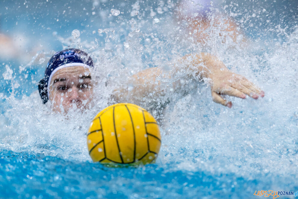 Waterpolo Poznań - Alfa Gorzów Wlkp.  Foto: lepszyPOZNAN.pl/Piotr Rychter