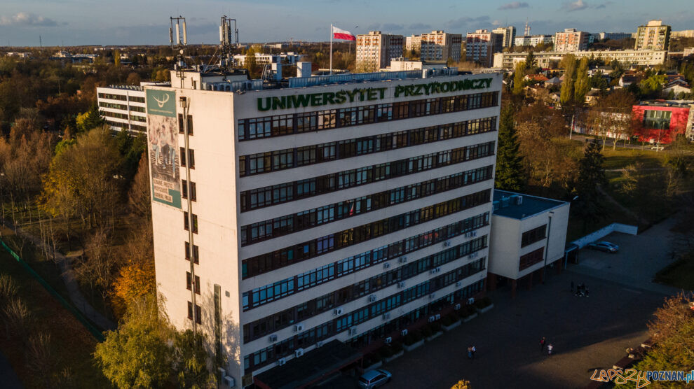 Uniwersytet Przyrodniczy  Foto: lepszyPOZNAN.pl / Piotr Rychter