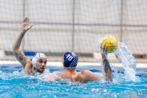 Waterpolo Poznań - Alfa Gorzów Wlkp.  Foto: lepszyPOZNAN.pl/Piotr Rychter