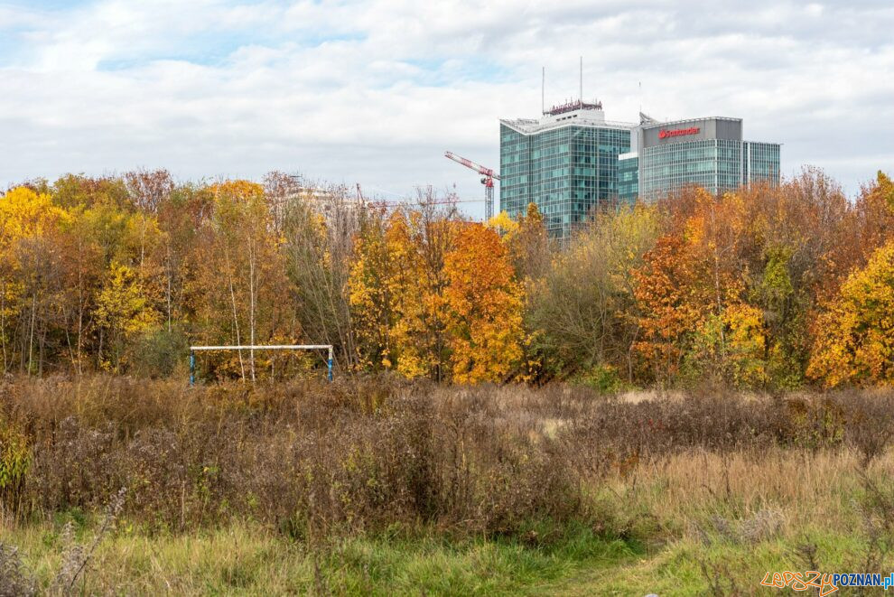 Stadion Szyca  Foto: materiały prasowe / UMP