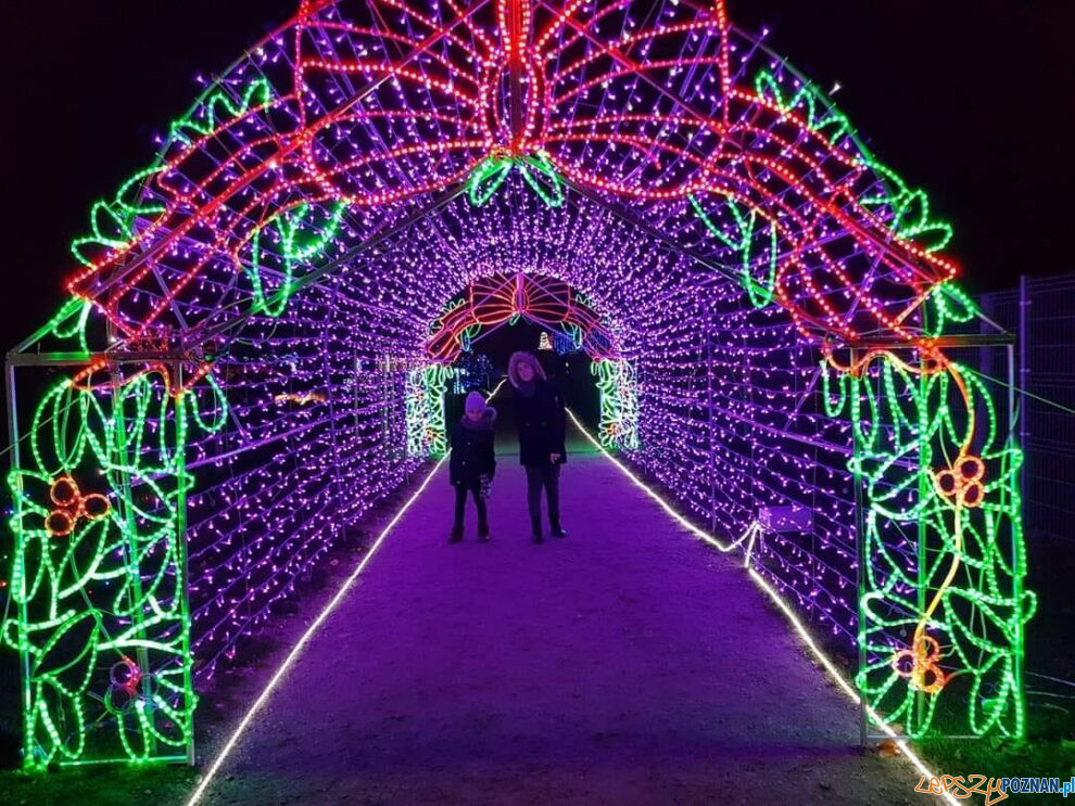 Świąteczna Kraina DELI Park  Foto: materiały prasowe