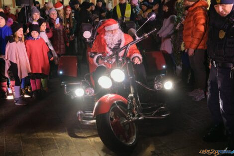 Miejska choinka  Foto: materiały prasowe / UMP