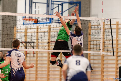 Tarnovia Volleyball - UKS SMS Joker Piła  Foto: lepszyPOZNAN.pl/Piotr Rychter