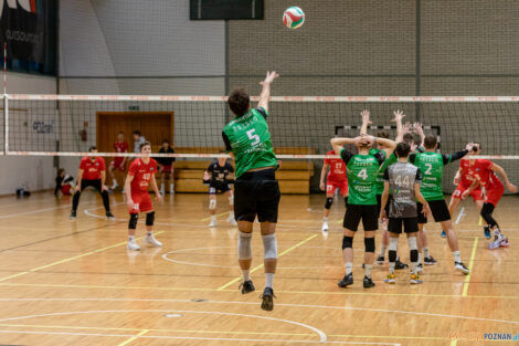 Enea Energetyk II Poznań - Tarnovia Volleyball  Foto: lepszyPOZNAN.pl/Piotr Rychter