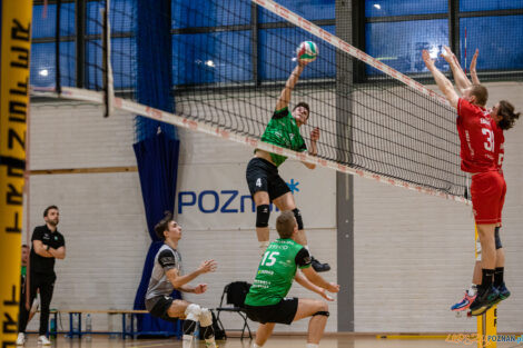 Enea Energetyk II Poznań - Tarnovia Volleyball  Foto: lepszyPOZNAN.pl/Piotr Rychter