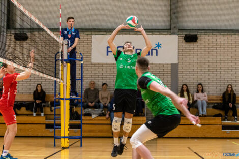 Enea Energetyk II Poznań - Tarnovia Volleyball  Foto: lepszyPOZNAN.pl/Piotr Rychter