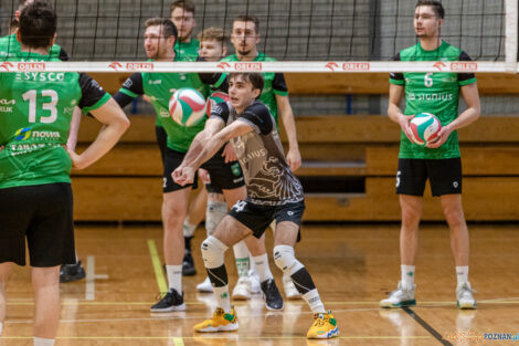 Enea Energetyk II Poznań - Tarnovia Volleyball  Foto: lepszyPOZNAN.pl/Piotr Rychter