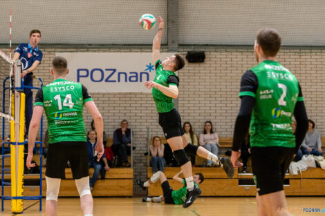 Enea Energetyk II Poznań - Tarnovia Volleyball  Foto: lepszyPOZNAN.pl/Piotr Rychter