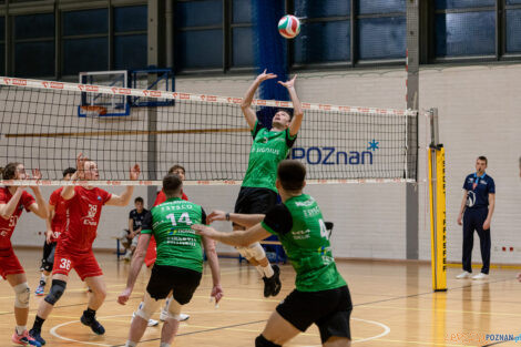 Enea Energetyk II Poznań - Tarnovia Volleyball  Foto: lepszyPOZNAN.pl/Piotr Rychter