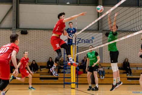 Enea Energetyk II Poznań - Tarnovia Volleyball  Foto: lepszyPOZNAN.pl/Piotr Rychter