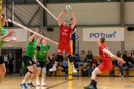 Enea Energetyk II Poznań - Tarnovia Volleyball  Foto: lepszyPOZNAN.pl/Piotr Rychter