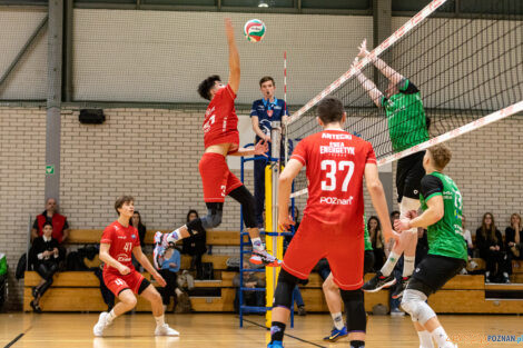 Enea Energetyk II Poznań - Tarnovia Volleyball  Foto: lepszyPOZNAN.pl/Piotr Rychter