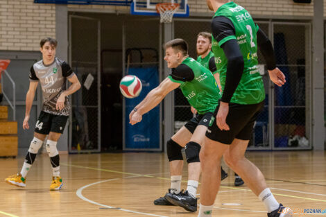 Enea Energetyk II Poznań - Tarnovia Volleyball  Foto: lepszyPOZNAN.pl/Piotr Rychter