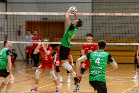 Enea Energetyk II Poznań - Tarnovia Volleyball  Foto: lepszyPOZNAN.pl/Piotr Rychter