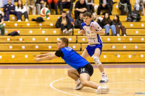 Finał WIelkopolski Juniorów - LOMS Joker Piła - IUKS Jedynka  Foto: lepszyPOZNAN.pl/Piotr Rychter