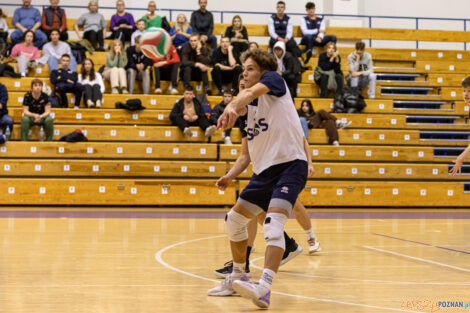 Finał WIelkopolski Juniorów - LOMS Joker Piła - IUKS Jedynka  Foto: lepszyPOZNAN.pl/Piotr Rychter