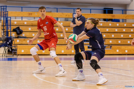 Finał WIelkopolski Juniorów - Enea Energetyk Poznań - IUKS Je  Foto: lepszyPOZNAN.pl/Piotr Rychter