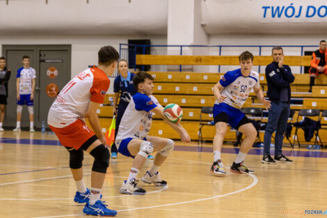 Finał WIelkopolski Juniorów - LOMS Joker Piła - IUKS Jedynka  Foto: lepszyPOZNAN.pl/Piotr Rychter