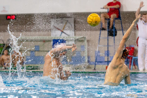 KS Waterpolo Poznań - KSZO Ostrowiec Świętokrzyski  Foto: lepszyPOZNAN.PL/Ewelina Jaskowiak