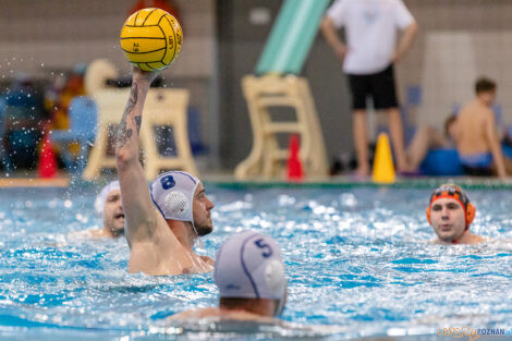 KS Waterpolo Poznań - KSZO Ostrowiec Świętokrzyski  Foto: lepszyPOZNAN.PL/Ewelina Jaskowiak