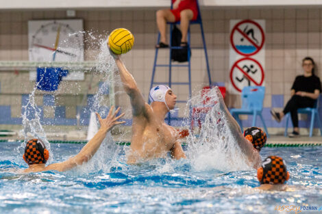 KS Waterpolo Poznań - KSZO Ostrowiec Świętokrzyski  Foto: lepszyPOZNAN.PL/Ewelina Jaskowiak