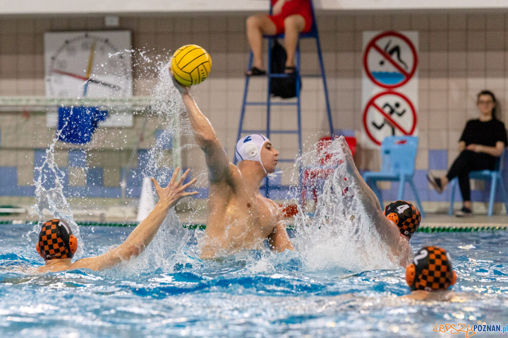 KS Waterpolo Poznań - KSZO Ostrowiec Świętokrzyski  Foto: lepszyPOZNAN.PL/Ewelina Jaskowiak